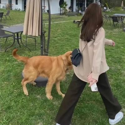 十项舞蹈 海报